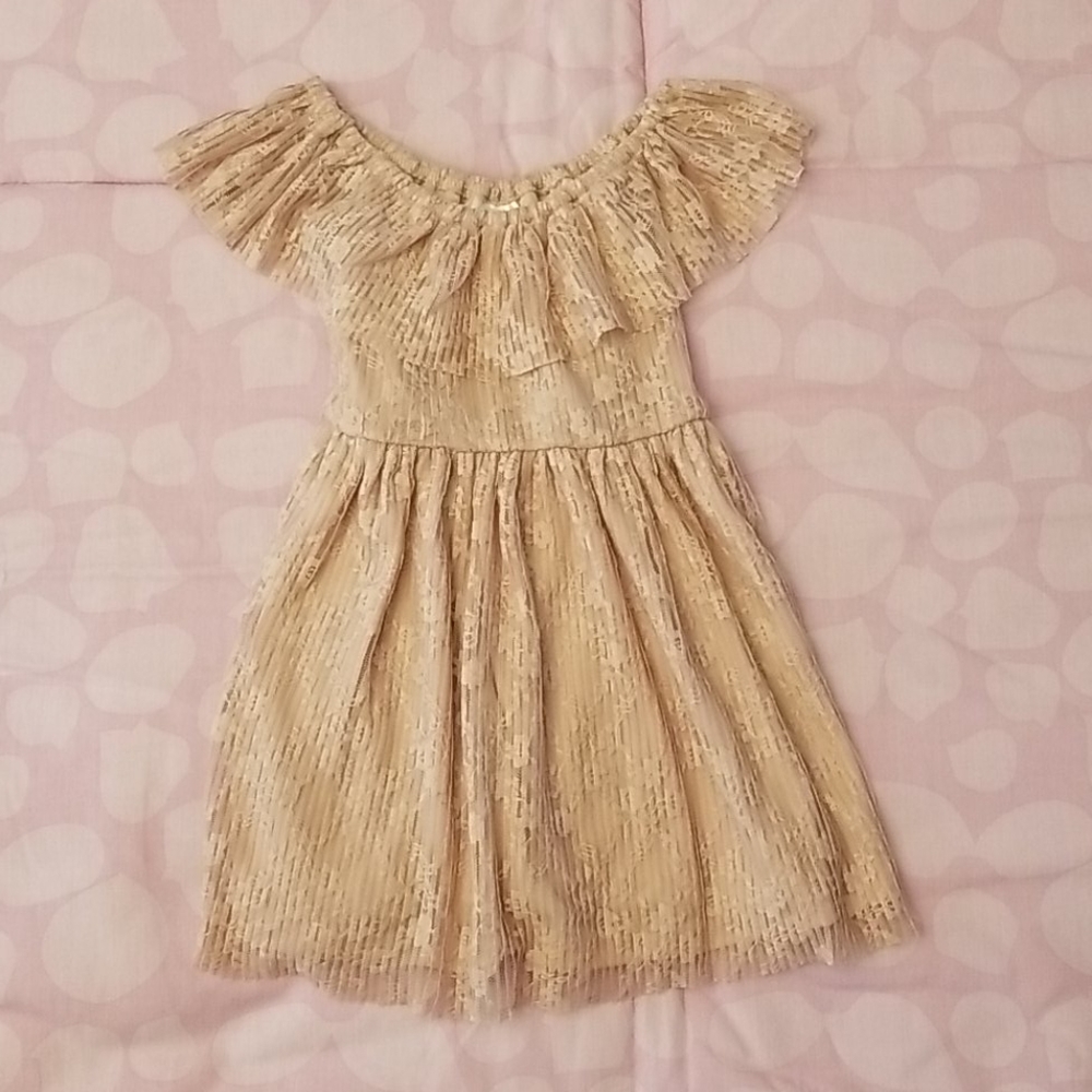 NWT Nannette Kids Mauve Crushed Lace Yoke Dress